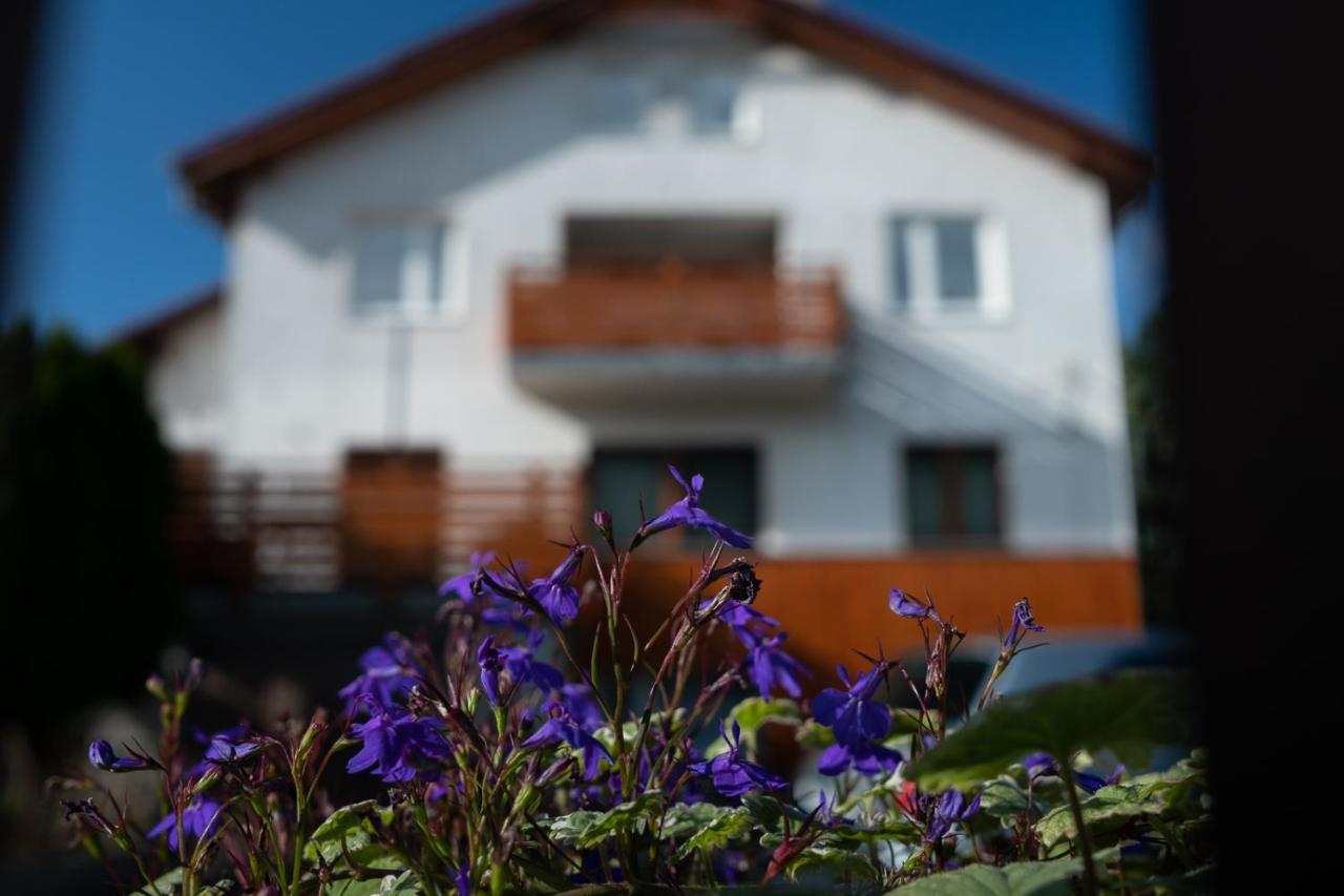 Apartamenty Karkonosze Gory Izerskie Piechowice  Exteriér fotografie